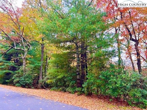 Photo of TBD Troon Avenue #167, Roaring Gap, NC 28668 (MLS # 258689)
