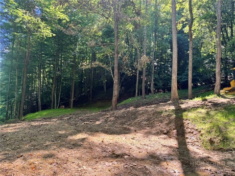 Vacant Land For Sale - 10.1 ACRES Powder Horn Mountain Road<br/> Watauga County, Deep Gap, NC 28618