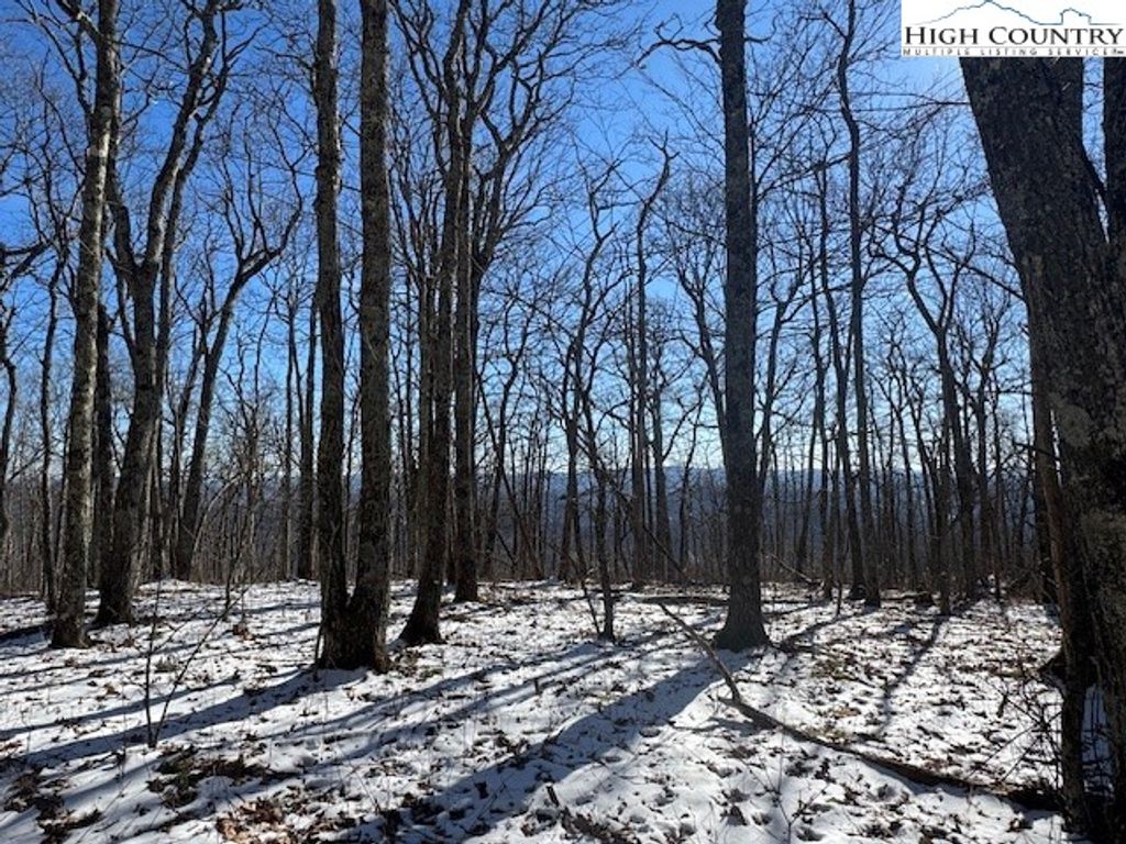 Photo of TBD Lot 88 Relaxation Point, Todd, NC 28684 (MLS # 260035)