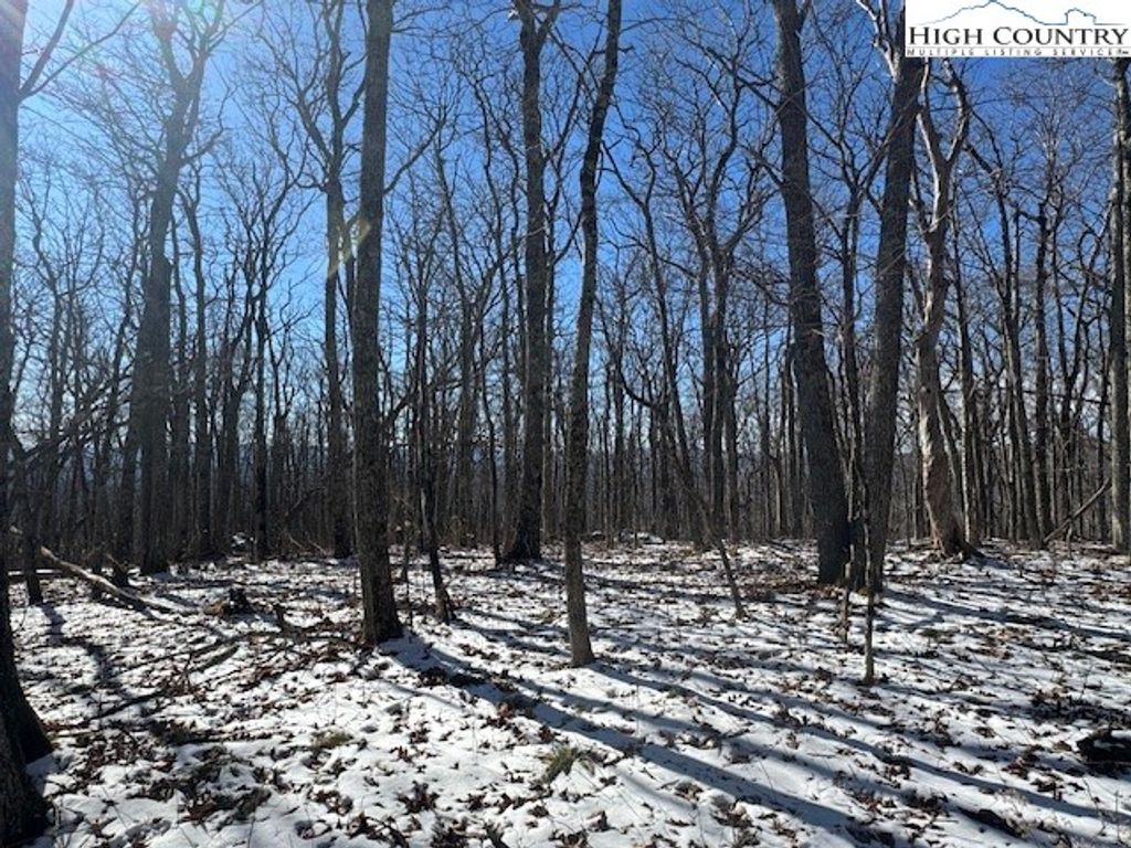 Photo of TBD Lot 88 Relaxation Point, Todd, NC 28684 (MLS # 260035)