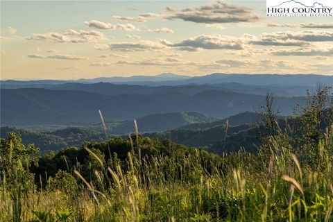 Photo of 000 Swaringen Road, Traphill, NC 28685 (MLS # 256214)