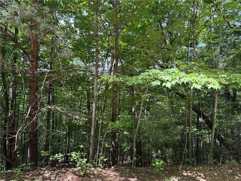 Photo of Lot 132A Warren Way Road, Purlear, NC 28665 (MLS # 262274)