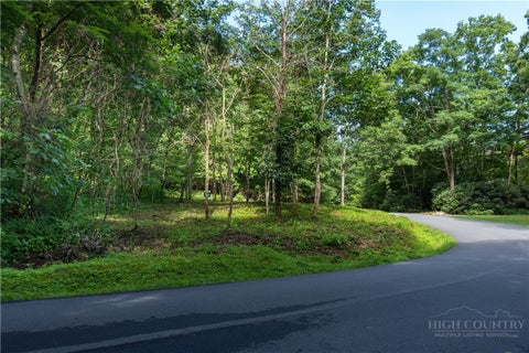 Photo of TBD Hemlock Ridge Road, Blowing Rock, NC 28605 (MLS # 263664)