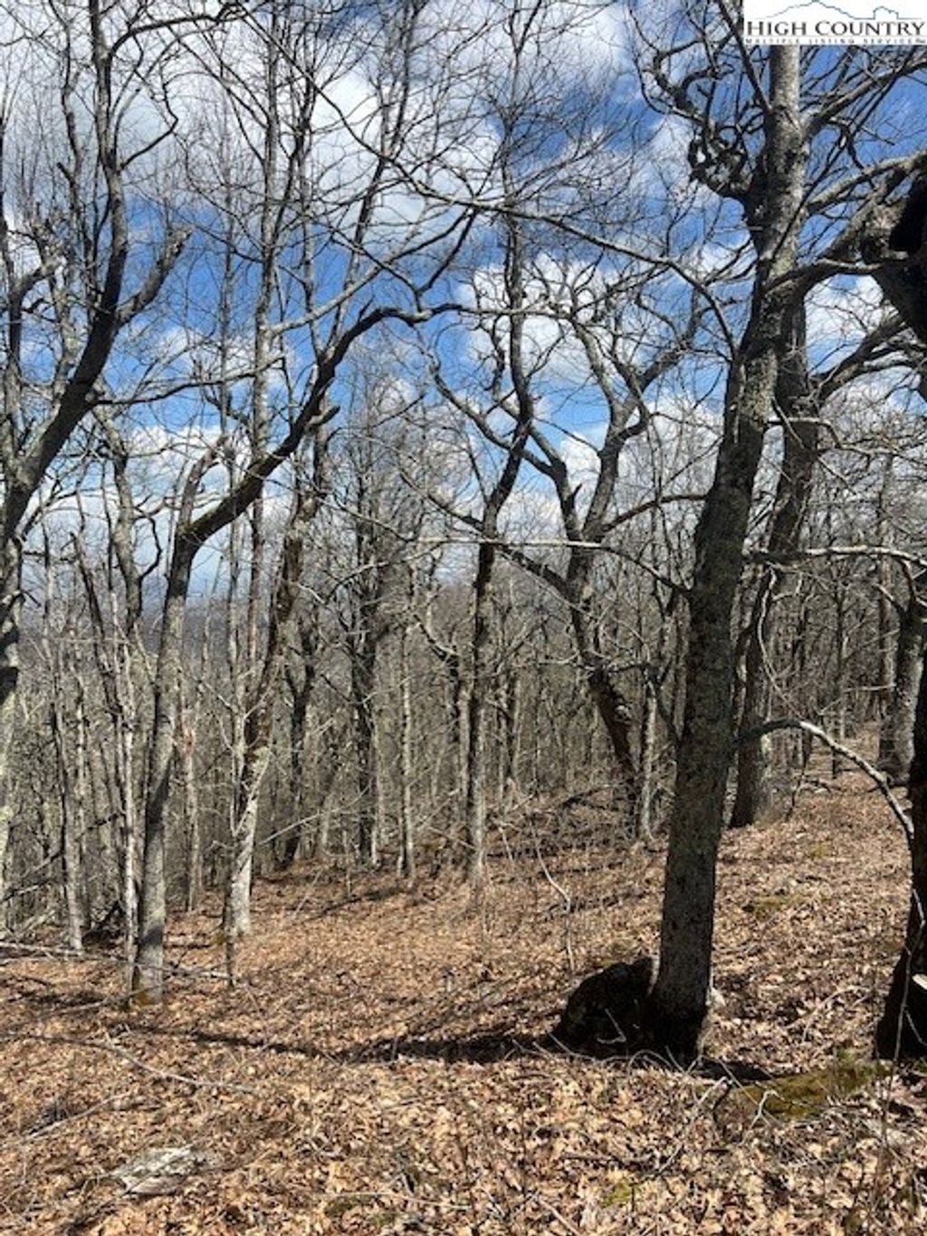 Photo of TBD Fire Tower Road Road, Boone, NC 28607 (MLS # 260036)