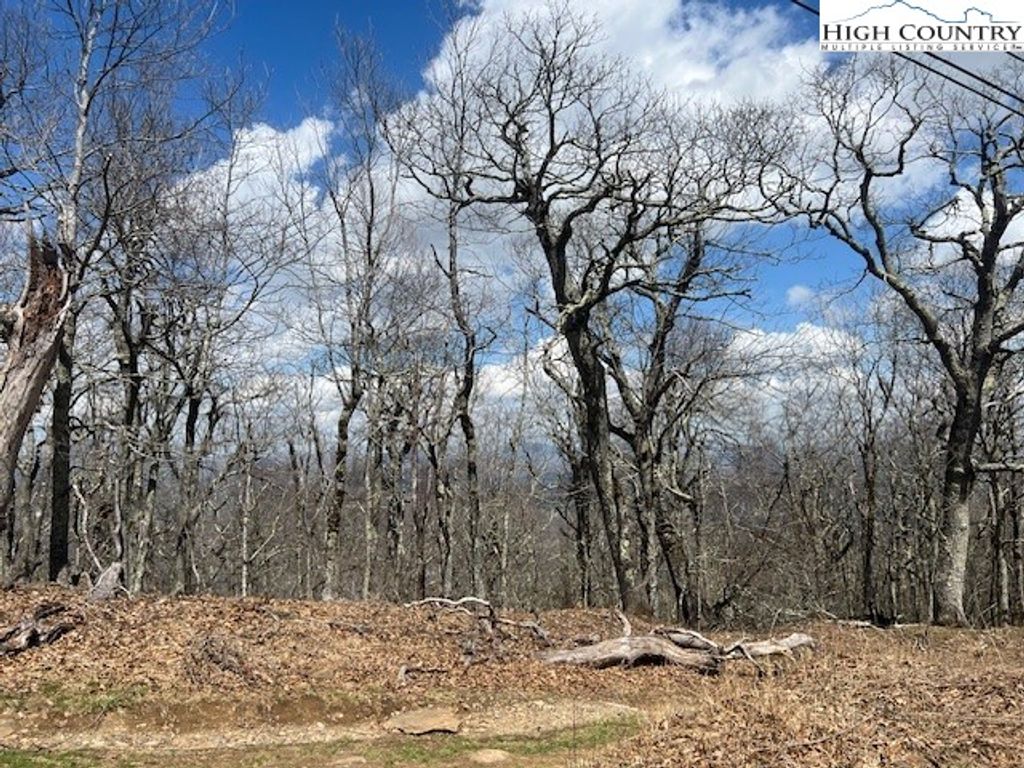 Photo of TBD Fire Tower Road Road, Boone, NC 28607 (MLS # 260036)