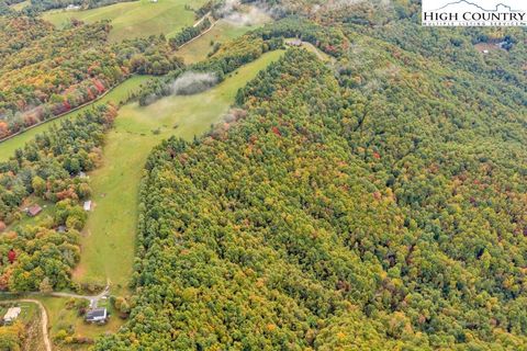 Photo of TBD Blue Ridge Church Road, Purlear, NC 28665 (MLS # 258522)