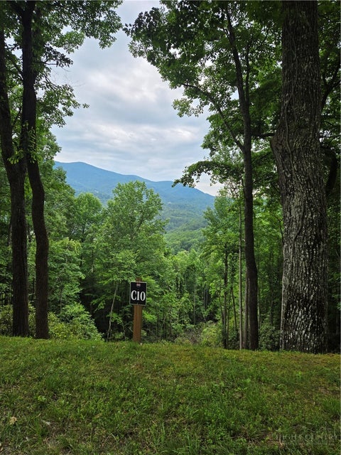 Photo of Lot C10 Bear Paw Road, Elk Park, NC 28622 (MLS # 263090)