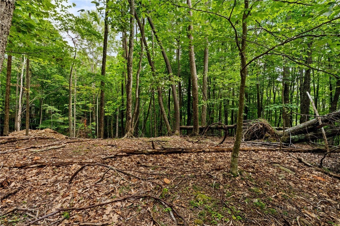 203 Sourwood Lane