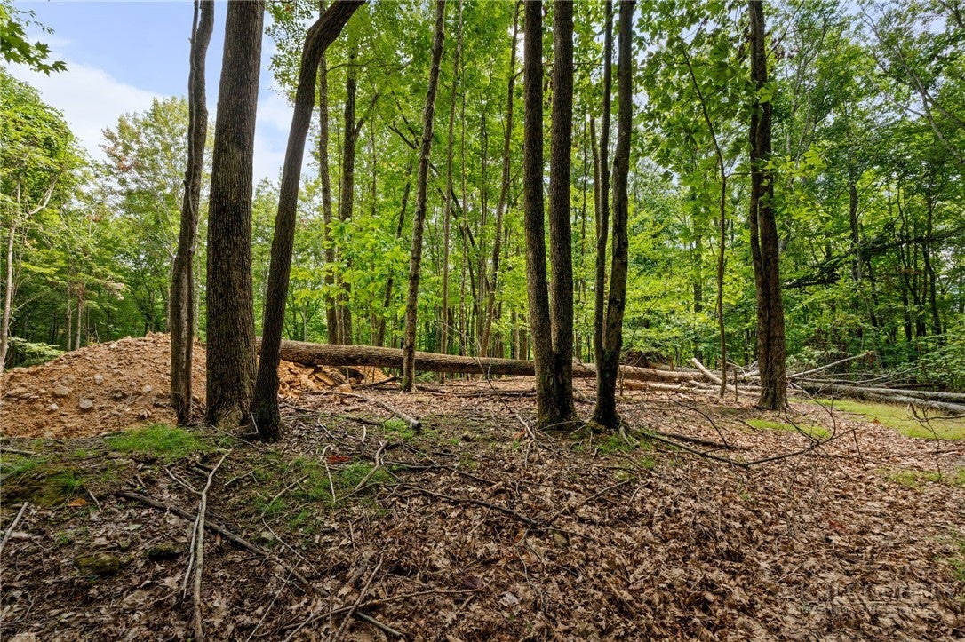 203 Sourwood Lane
