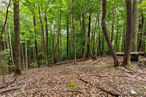 Photo of 203 Sourwood Lane, Beech Mountain, NC 28604 (MLS # 263647)