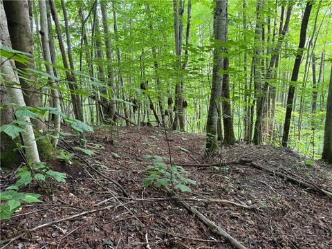 Photo of Lot 3 Buckeye Ridge Road, Beech Mountain, NC 28604 (MLS # 261987)