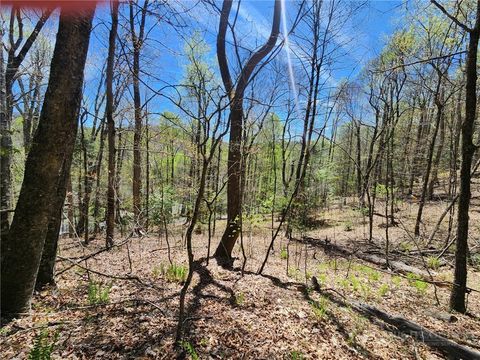 Photo of Lot 13 Shady Bark Lane, Boone, NC 28607 (MLS # 261383)