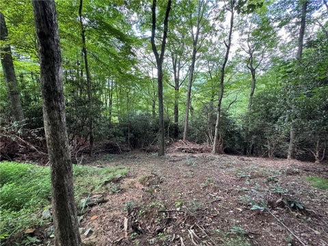 Photo of Lot 8 Bear Cub Trail, Boone, NC 28607 (MLS # 264009)