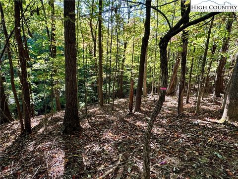 Photo of TBD Penny Lane, Deep Gap, NC 28618 (MLS # 252288)