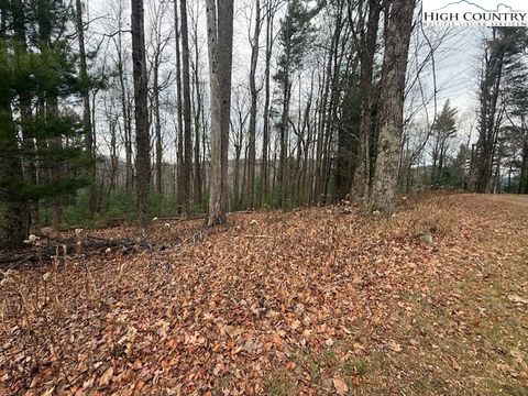 Photo of TBD Jobs Road, Laurel Springs, NC 28644 (MLS # 259278)
