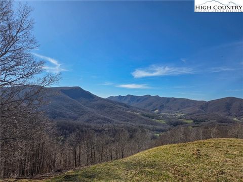 Photo of TBD Lauren Lane, West Jefferson, NC 28694 (MLS # 260494)