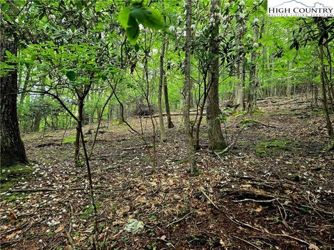 Photo of TBD Red Fox Ridge, Boone, NC 28607 (MLS # 256888)