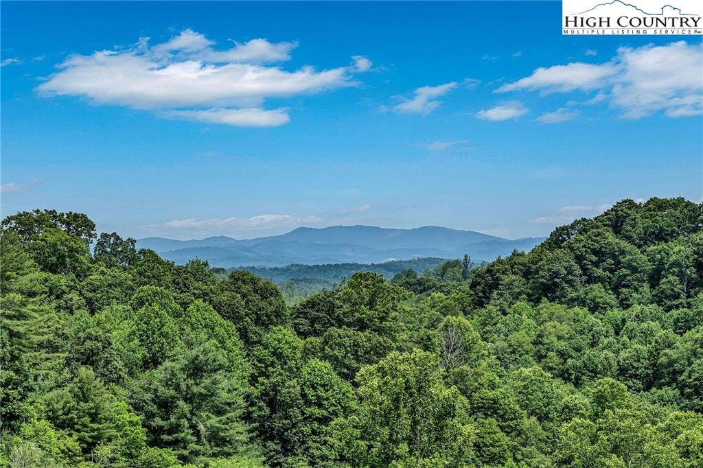 Photo of 12443 Old Hwy 16, Grassy Creek, NC 28631 (MLS # 259793)