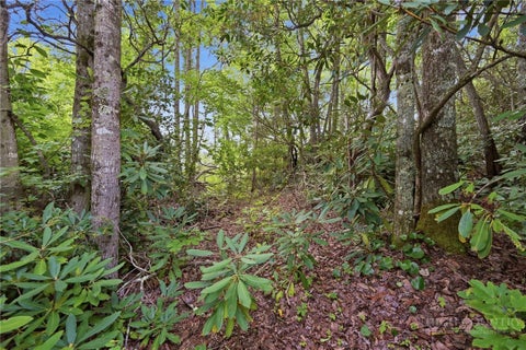 Photo of TBD (Lot 60) Raven Ridge Road, Banner Elk, NC 28604 (MLS # 264331)
