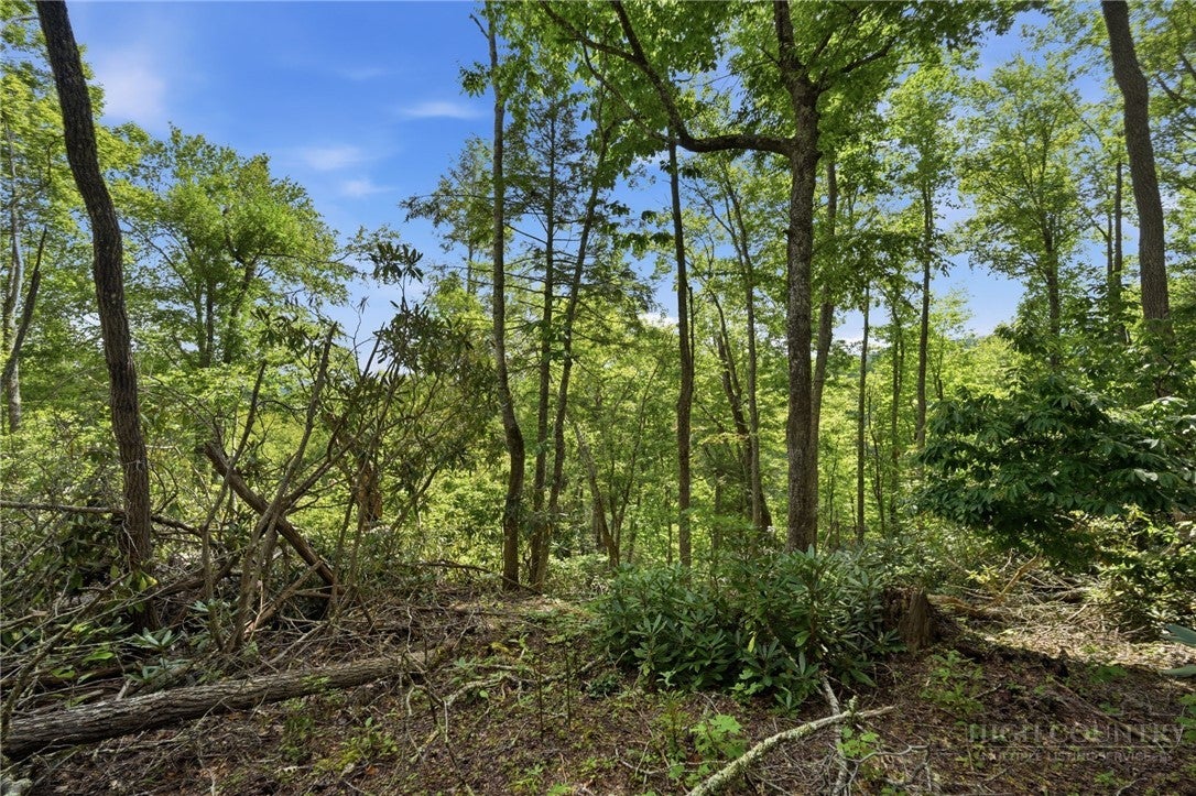 TBD (Lot 60) Raven Ridge Road