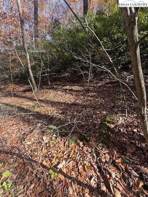 Photo of TBD Old Hwy 16, Jefferson, NC 28640 (MLS # 258832)