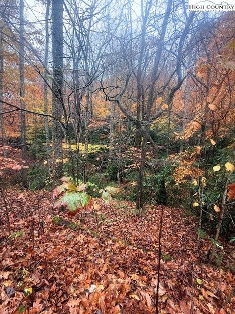 Photo of TBD Old Hwy 16, Jefferson, NC 28640 (MLS # 258832) Photo of TBD Old Hwy 16, Jefferson, NC 28640 (MLS # 258832)