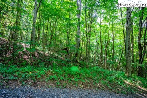Photo of Lot 38 Marta Lane, Zionville, NC 28698 (MLS # 239499)