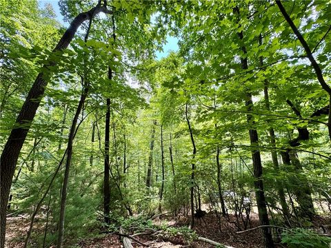 Photo of 35 Acres Lot 23 Bear Track Lane, Lenoir, NC 28645 (MLS # 263294)