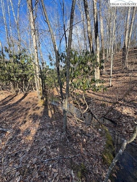Photo of TBD Bald Mountain Road, West Jefferson, NC 28694 (MLS # 260620)