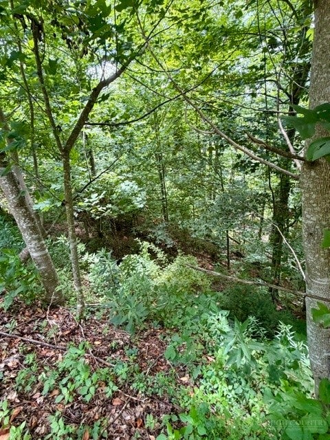 Lot 18 Clear Waters Edge Estate