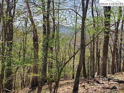 Photo of 65 Fire Pink Road, Boone, NC 28607 (MLS # 246427)