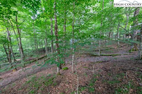 Photo of 907 Charter Hills Road, Beech Mountain, NC 28604 (MLS # 250375)