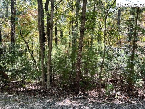 Photo of 8 Laurel Road, Purlear, NC 28665 (MLS # 259430)