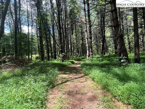 Photo of LOT 8 Rivers Edge Drive, Boone, NC 28607 (MLS # 257053) Photo of LOT 8 Rivers Edge Drive, Boone, NC 28607 (MLS # 257053)