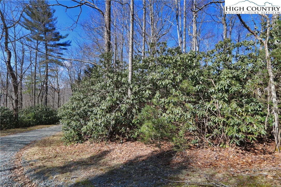 Vilas, North Carolina 28692, United States, ,Land,Active,61454