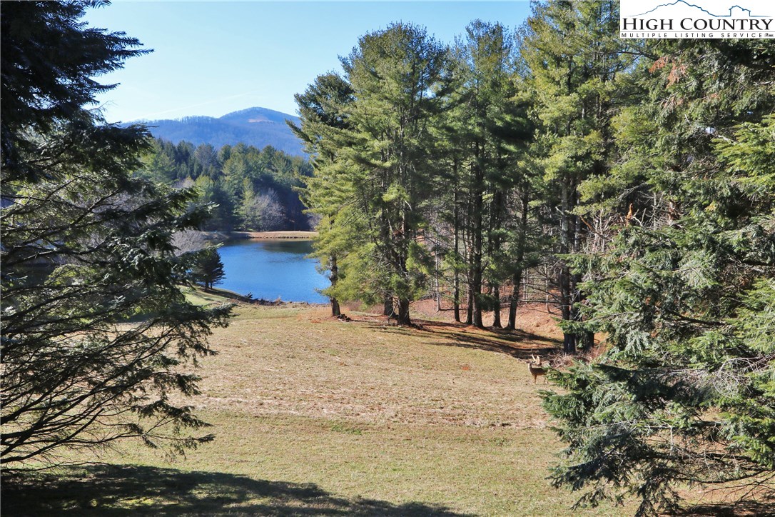 Vilas, North Carolina 28692, United States, ,Land,Active,61454