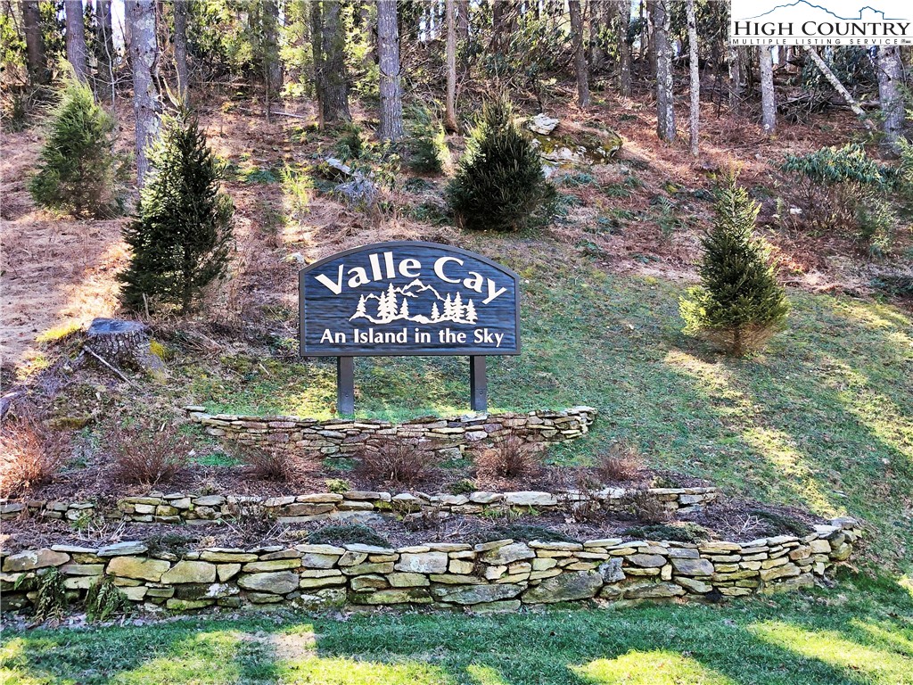 Vilas, North Carolina 28692, United States, ,Land,Active,61454