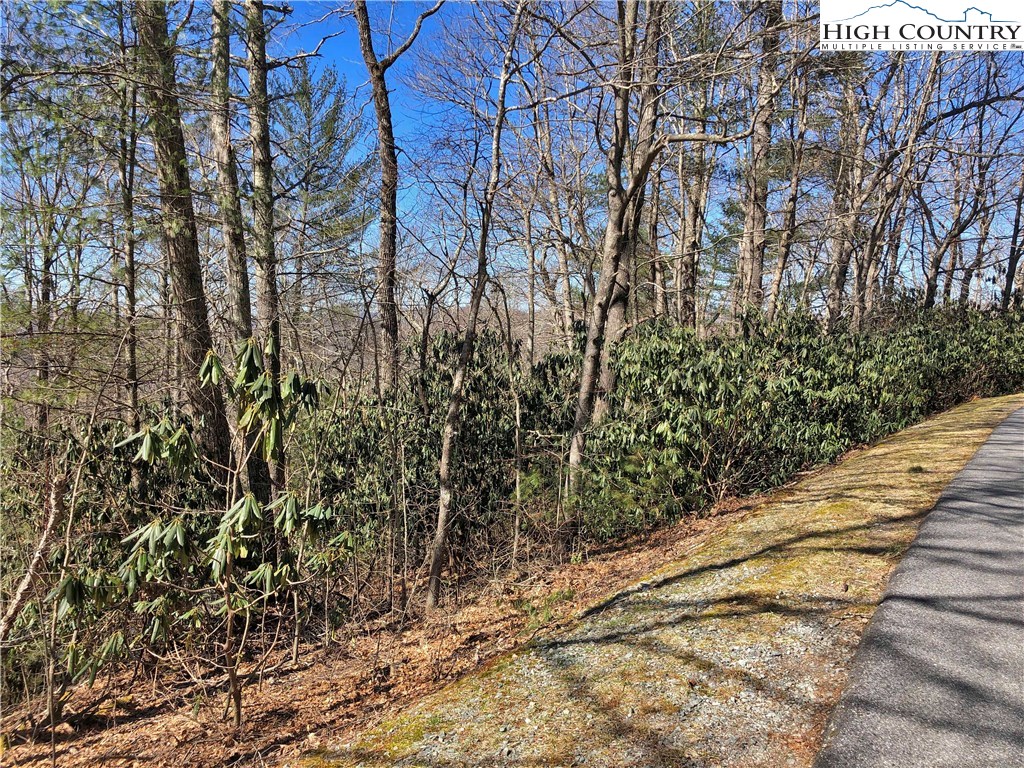 Vilas, North Carolina 28692, United States, ,Land,Active,61454