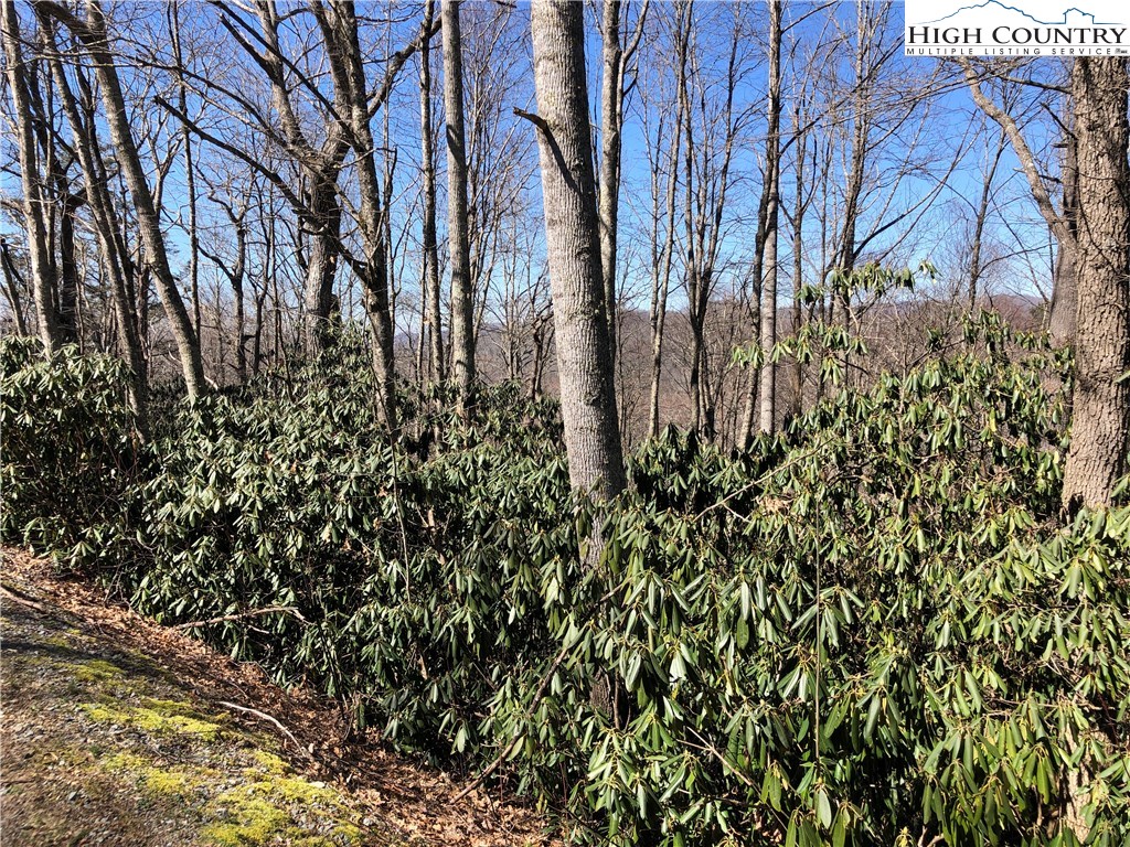 Vilas, North Carolina 28692, United States, ,Land,Active,61454