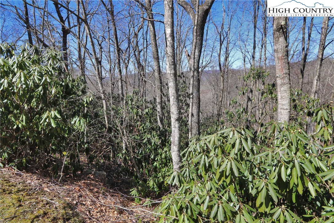 Vilas, North Carolina 28692, United States, ,Land,Active,61454