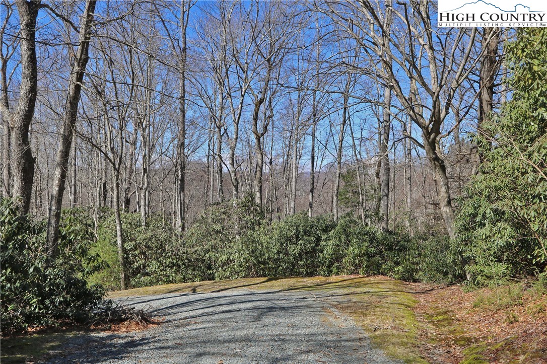 Vilas, North Carolina 28692, United States, ,Land,Active,61454