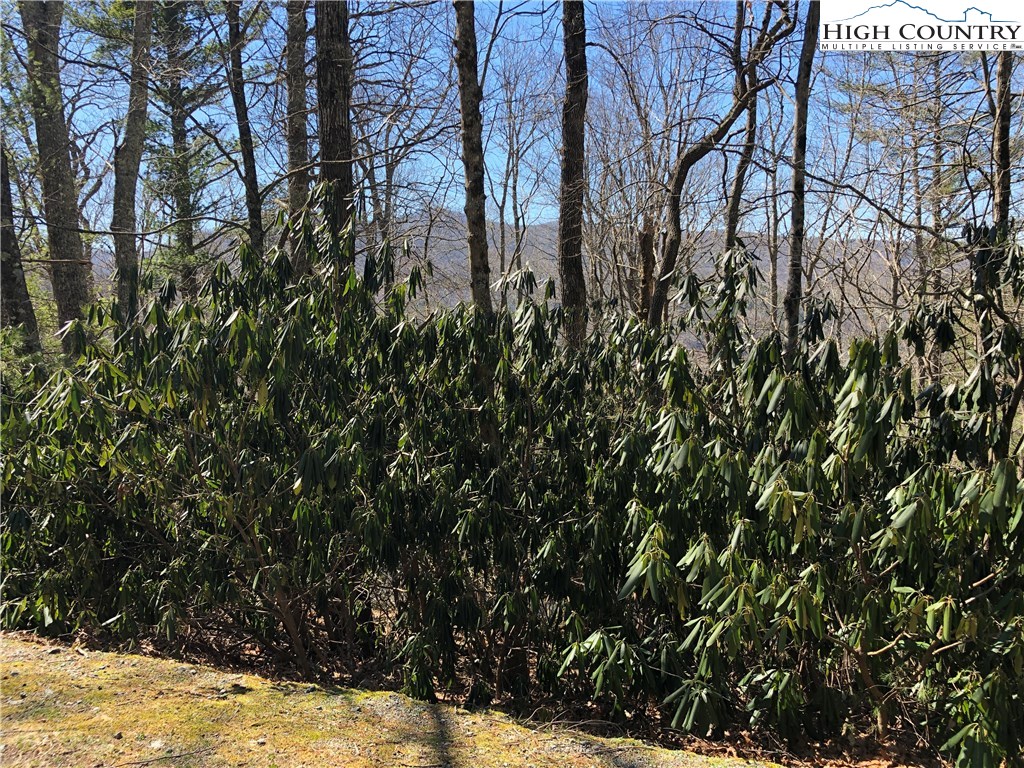 Vilas, North Carolina 28692, United States, ,Land,Active,61454