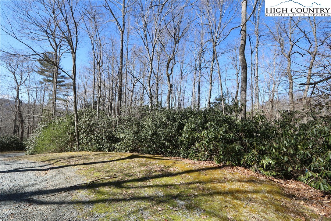 Vilas, North Carolina 28692, United States, ,Land,Active,61454