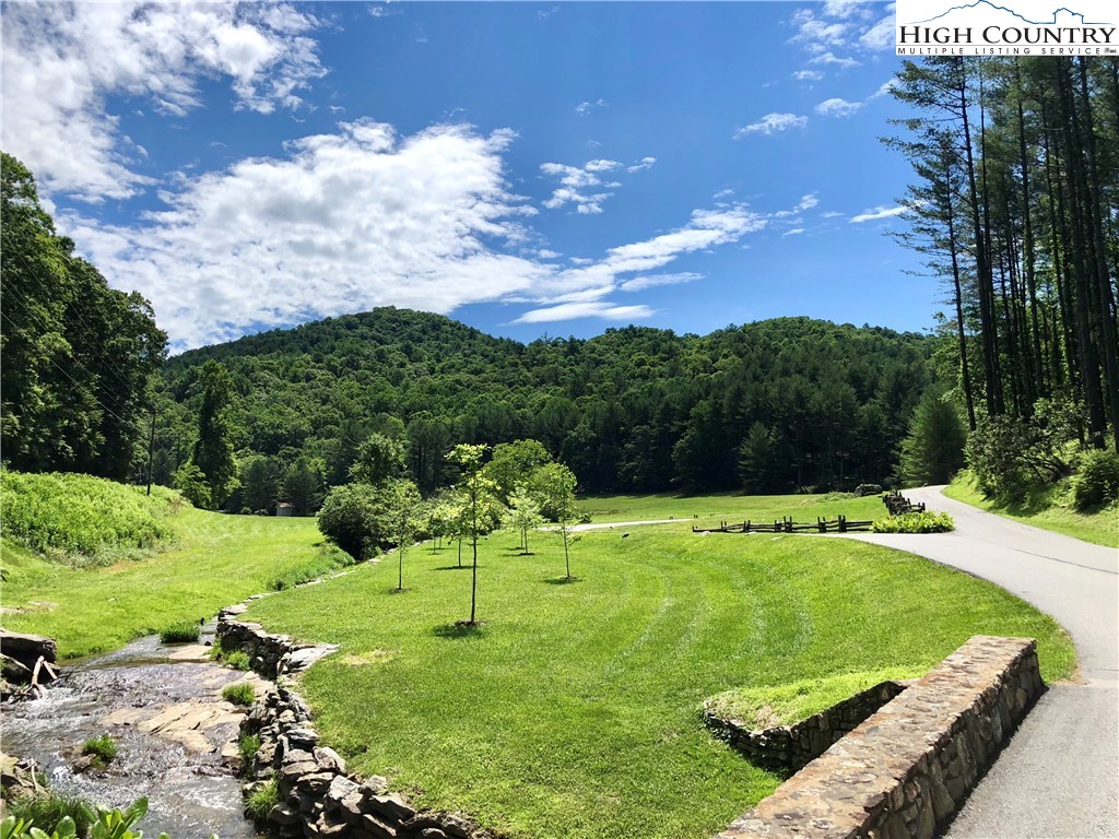 Vilas, North Carolina 28692, United States, ,Land,Active,61454