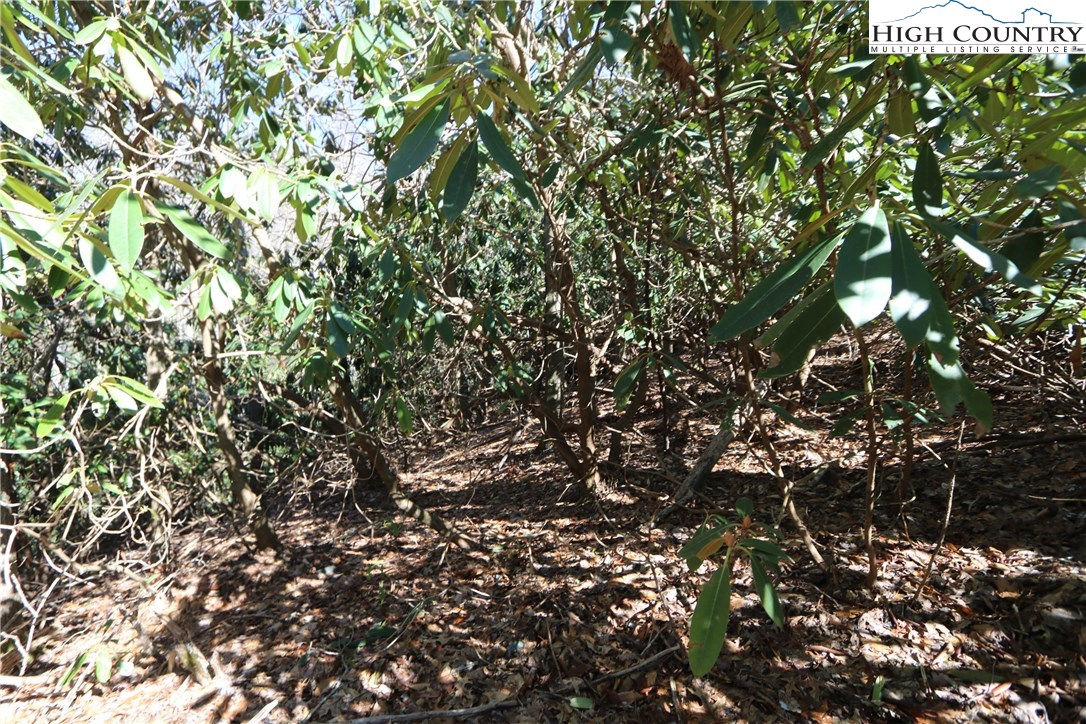 Vilas, North Carolina 28692, United States, ,Land,Active,61454