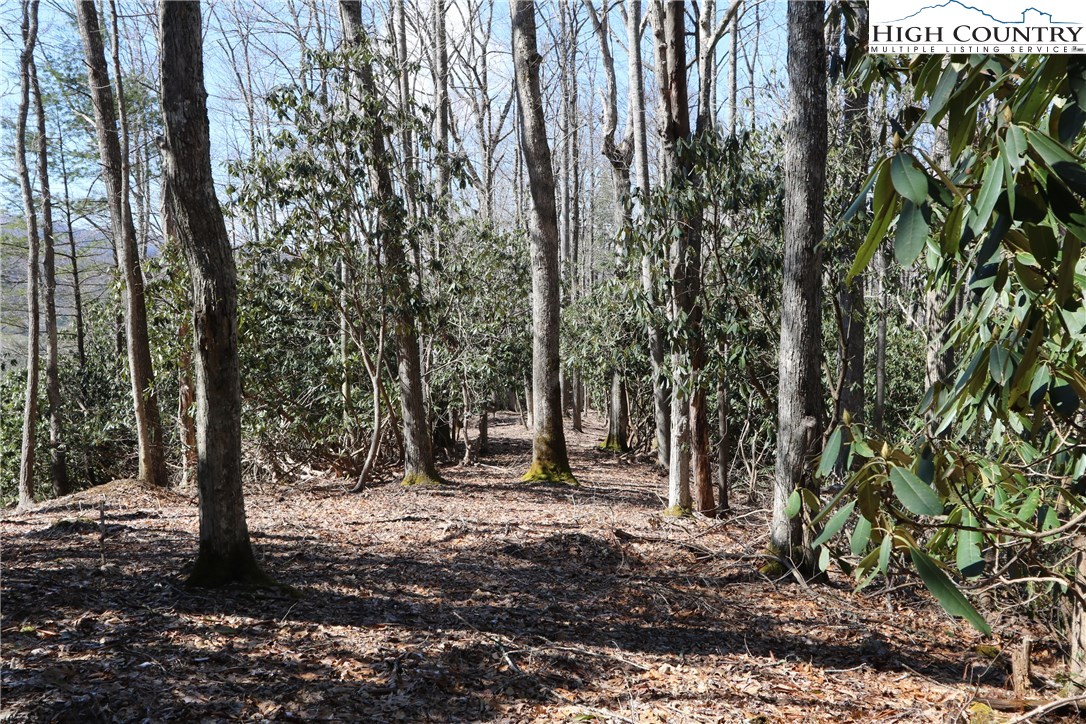 Vilas, North Carolina 28692, United States, ,Land,Active,61454