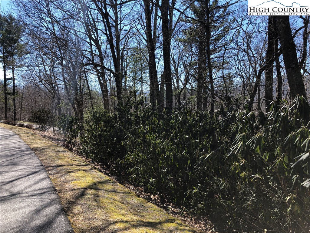 Vilas, North Carolina 28692, United States, ,Land,Active,61454