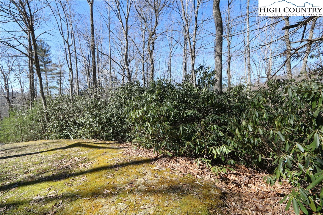 Vilas, North Carolina 28692, United States, ,Land,Active,61454