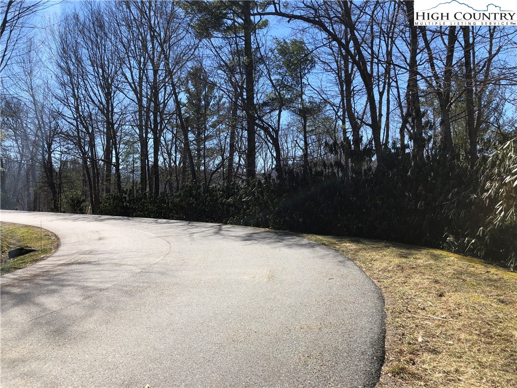 Vilas, North Carolina 28692, United States, ,Land,Active,61454