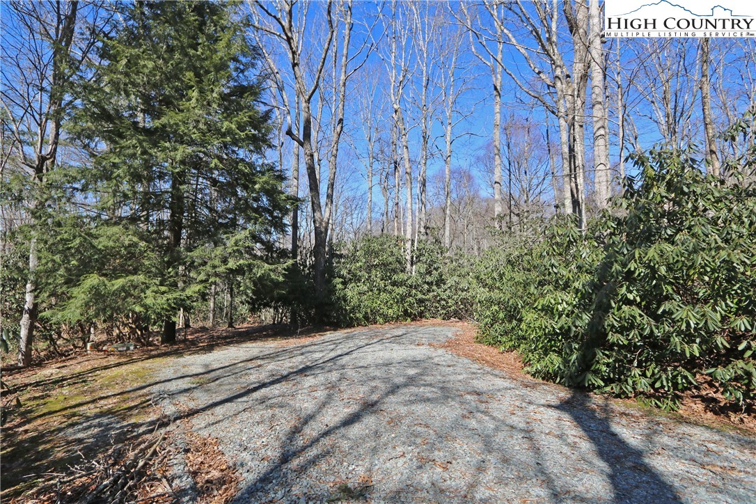 Vilas, North Carolina 28692, United States, ,Land,Active,61454